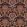 Midi Kashmir Fabric by Arley House Fig