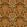 Midi Kashmir Fabric by Arley House Saffron