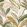 Midi Oasis Fabric by Arley House Chintz