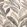 Midi Oasis Fabric by Arley House Ecru