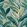 Midi Oasis Fabric by Arley House Relfection