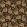 Midi Paridisa Fabric by Arley House Amber