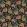 Midi Paridisa Fabric by Arley House Nigella
