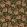 Midi Paridisa Fabric by Arley House Sage