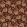 Midi Paridisa Fabric by Arley House Sumac