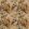 Midi Rutland Fabric by Arley House Coral