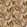 Midi Tulpen Fabric by Arley House Almond