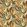 Midi Tulpen Fabric by Arley House Artichoke