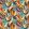Midi Tulpen Fabric by Arley House Cocktail