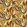 Midi Tulpen Fabric by Arley House Mango