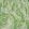 Mille Feuilles Fabric by Christopher Farr Cloth Green