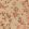 Milos Wallpaper by Elitis Le Jardin des Delices