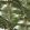 Jardin Tropical Wallpaper by MINDTHEGAP Green