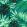 Rainforest Wallpaper by MINDTHEGAP Green