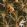 Barbados Wallpaper by MINDTHEGAP Anthracite