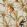 Barbados Wallpaper by MINDTHEGAP Green,Orange,Taupe