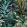 Lush Succulents Wallpaper by MINDTHEGAP Black,Green