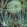 Succulentus Wallpaper by MINDTHEGAP Anthracite