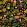 Asian Fruits And Flowers Wallpaper by MINDTHEGAP Anthracite
