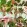 Beverly Hills Wallpaper by MINDTHEGAP Mint