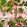 Beverly Hills Wallpaper by MINDTHEGAP Pink