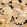Birds Of Happiness Wallpaper by MINDTHEGAP Black, Orange, Taupe