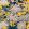 Chrysanthemums Wallpaper by MINDTHEGAP Yellow