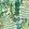 Green Sanctuary Wallpaper by MINDTHEGAP Green, Taupe