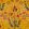 Gypsy Wallpaper by MINDTHEGAP Ochre