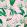 Palm Springs Wallpaper by MINDTHEGAP Green, Pink, White