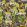 La Voliere Fabric by MINDTHEGAP Green