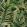 Exotic Garden Wallpaper by MINDTHEGAP Green