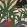 Jardin Imaginario Wallpaper by MINDTHEGAP 95