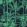 Palmera Cubana Wallpaper by MINDTHEGAP 96