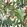 Parrots Of Brasil Wallpaper by MINDTHEGAP 21