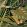 Amazonia Fabric by MINDTHEGAP Green
