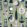 Vessel Wallpaper by Mini Moderns British Lichen