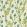 Monkshood Wallpaper by Morris & Co Aqua/Peashoot