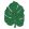 Monstera Leaf Rug by Lorena Canals Green