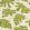 Monstera Wallpaper by Tres Tintas Lima