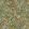 Montrose Fabric by Arley House Gold