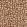 Moremi FR Fabric by Warwick Tuscan