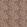 Marigold Fabric by Morris & co Brick/Manilla