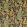 Forest Velvet Fabric by Morris & Co Charcoal