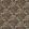 Morris Seaweed Fabric by Morris & Co Ebony/Poppy