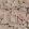 Acanthus Wallpaper by Morris & Co Terracotta