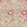 Pink & Rose Wallpaper by Morris & Co Manilla/Wine