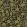 Fruit Fabric by Morris & Co Black/Claret