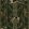 Mountain Dogs Wallpaper by MINDTHEGAP Cypress Green