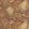 Mulberry Woodland Wallpaper by Mulberry Home Autumn